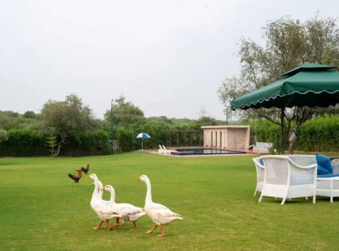 farmhouse land in Naugaon Alwar