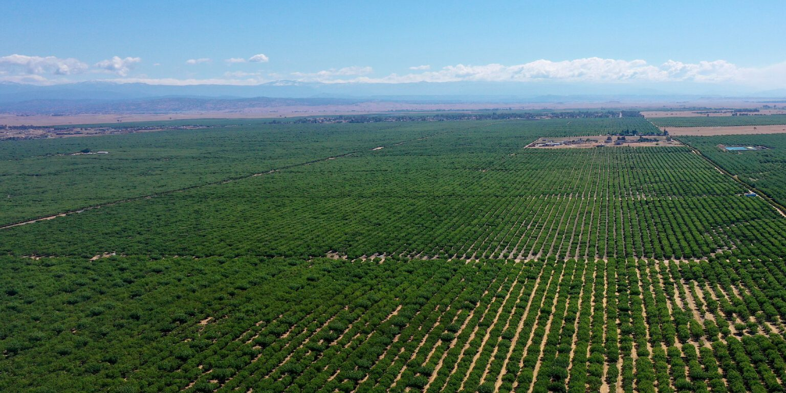 farmland in Naugaon