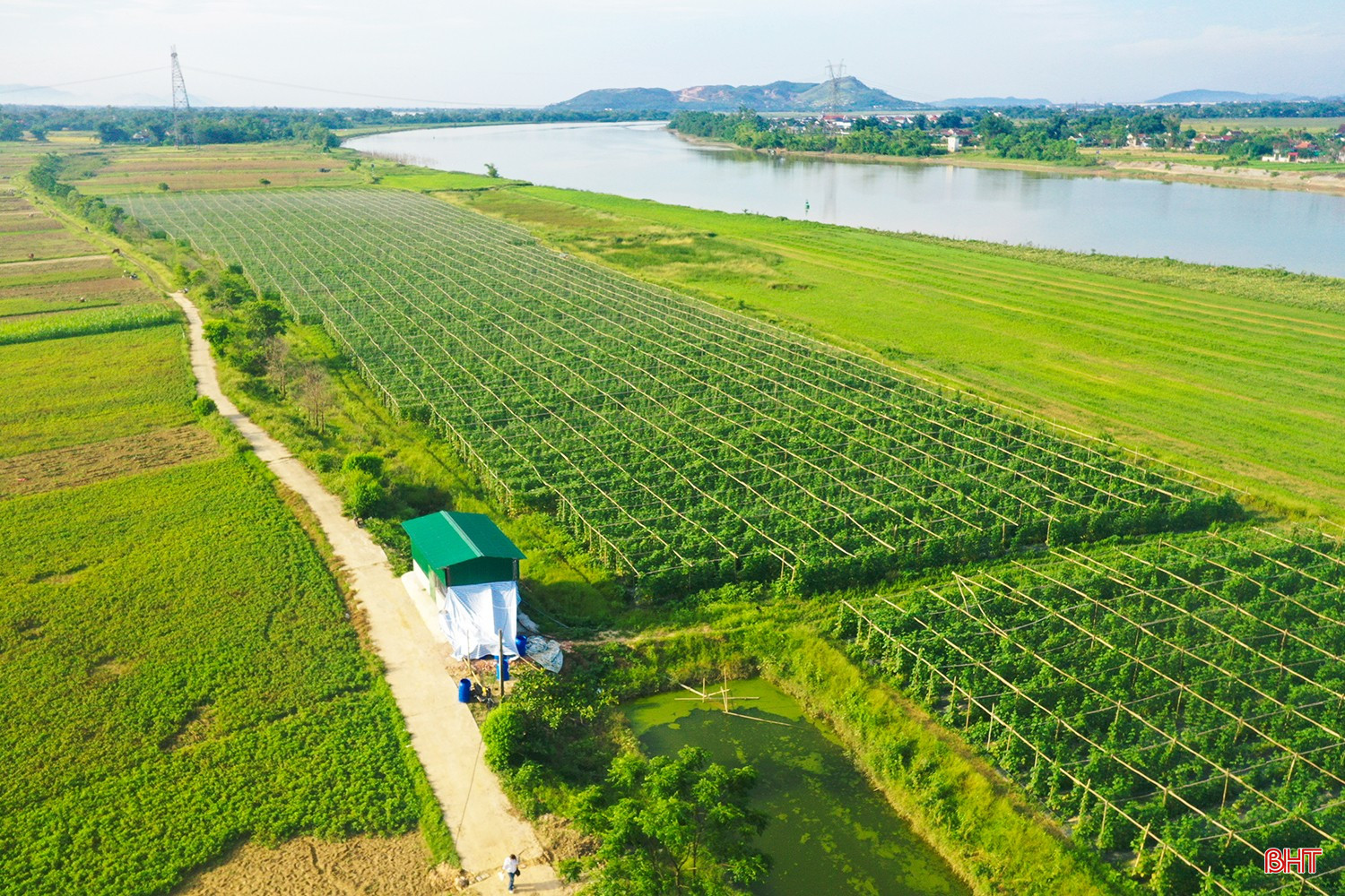 farmland in naugaon